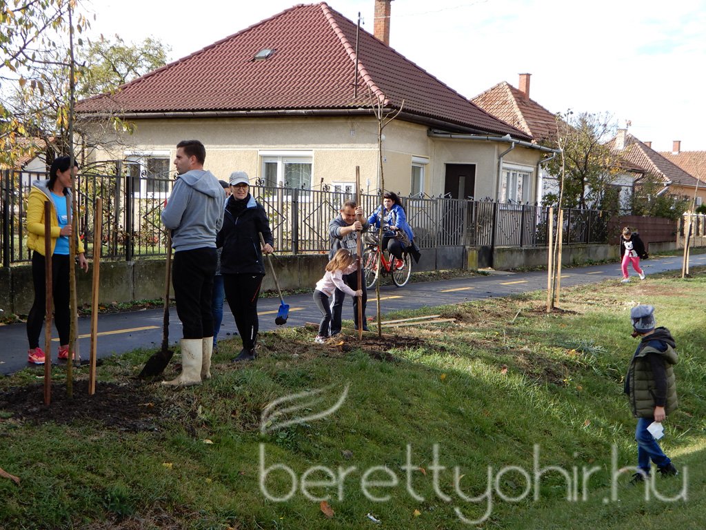 Közösségi faültetés Berettyóújfaluban 54